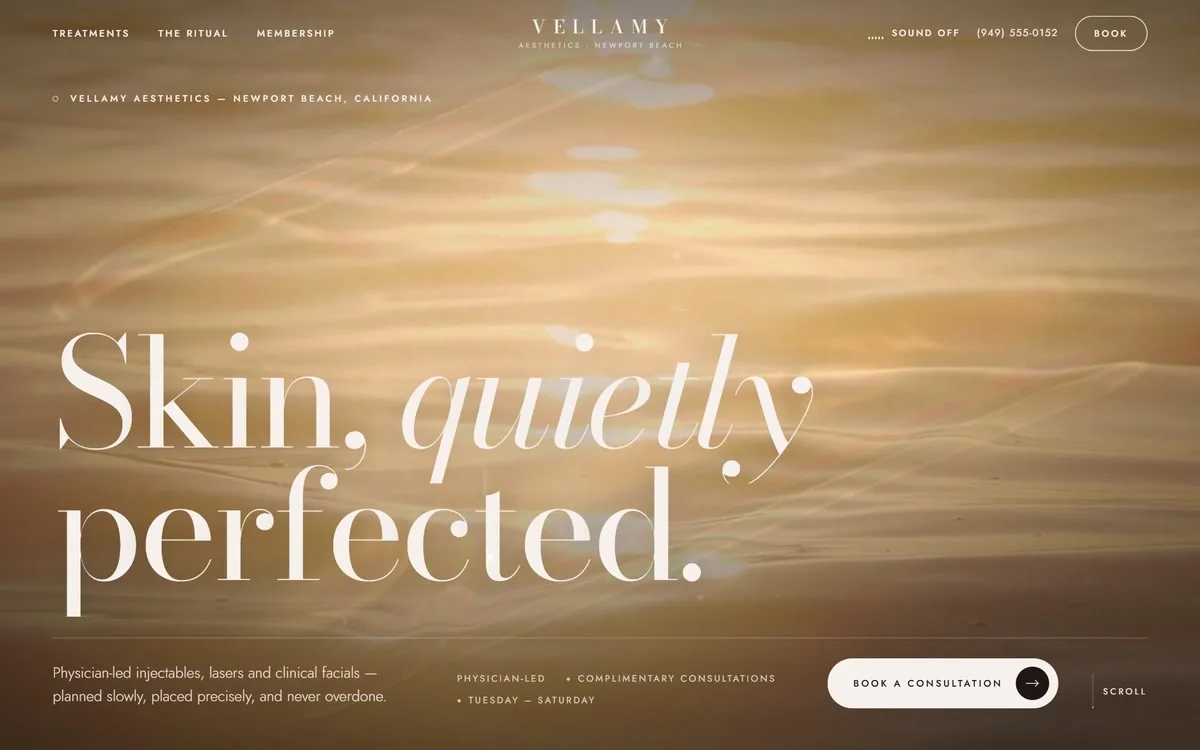 Cinematic homepage hero of the Vellamy sample site